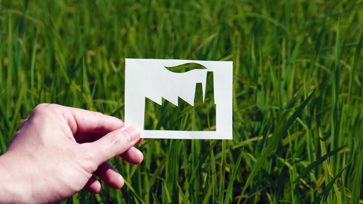 Greenwashing - Empresas Verdes